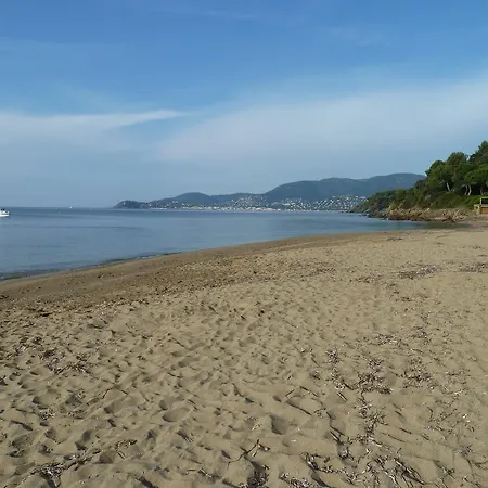 Gigaro
